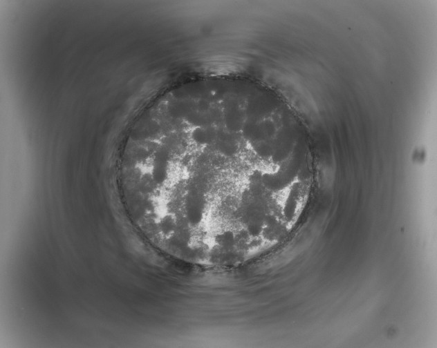 X0000101951393200808151242