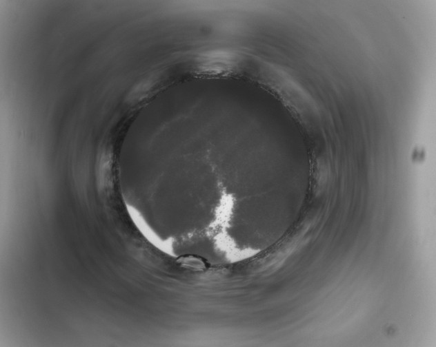 X0000101951394200808151242