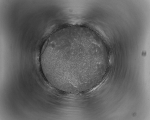 X0000101951396200808151242