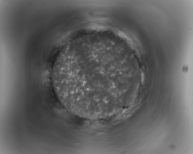 X0000101951397200808151242