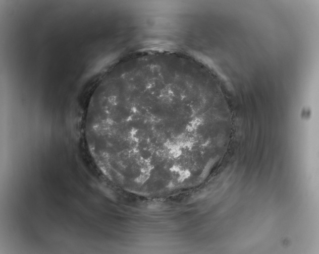 X0000101951399200808151242