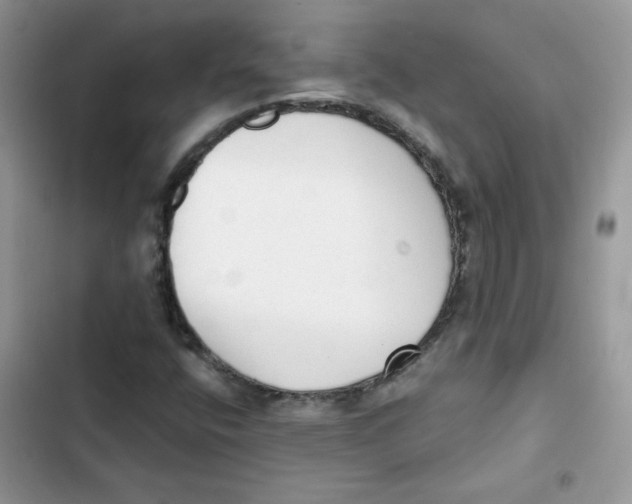 X0000101951400200808151242