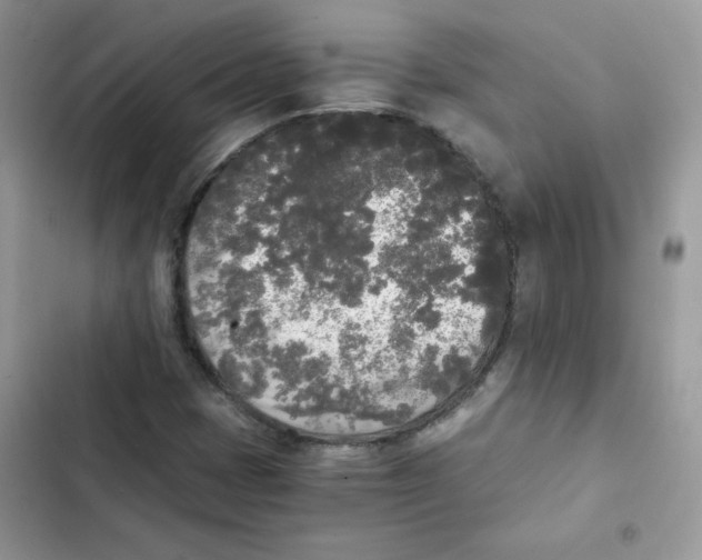 X0000101951401200808151242