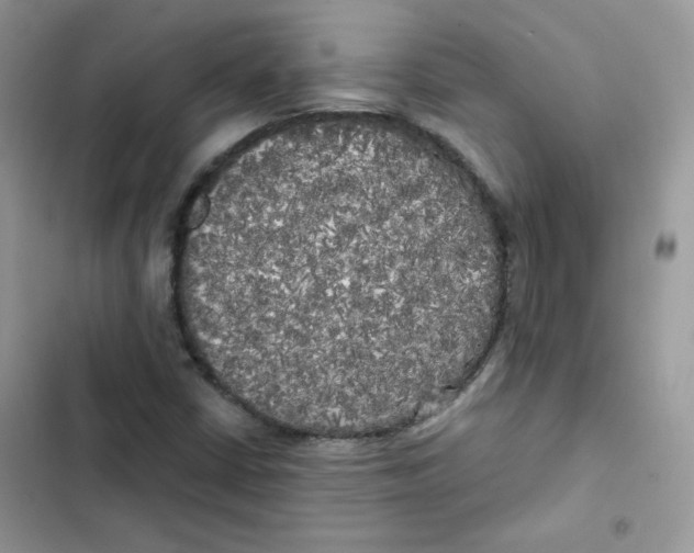 X0000101951402200808151242