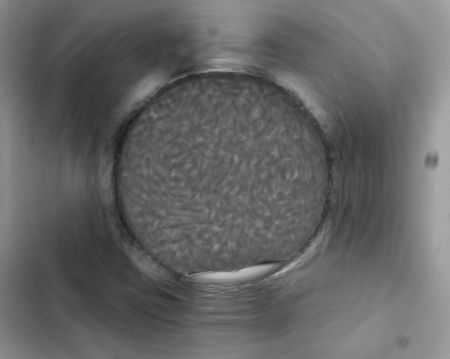 X0000101951403200808151242