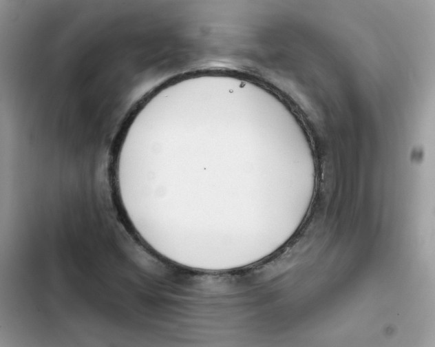 X0000101951404200808151242