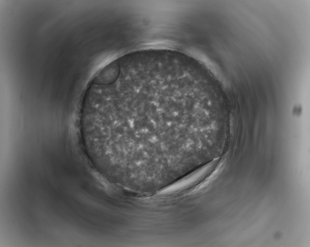 X0000101951405200808151242