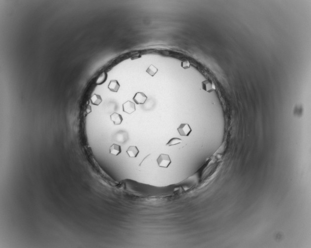 X0000101951406200808151242