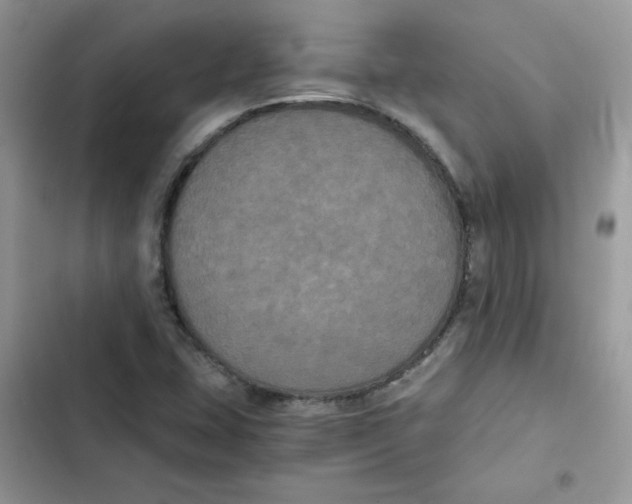X0000101951407200808151242