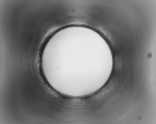 X0000101951408200808151242