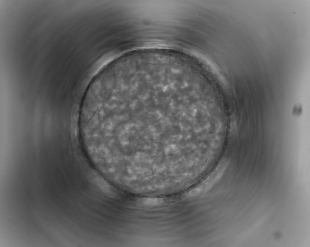 X0000101951409200808151242