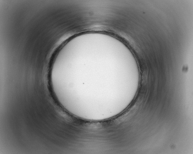 X0000101951410200808151242