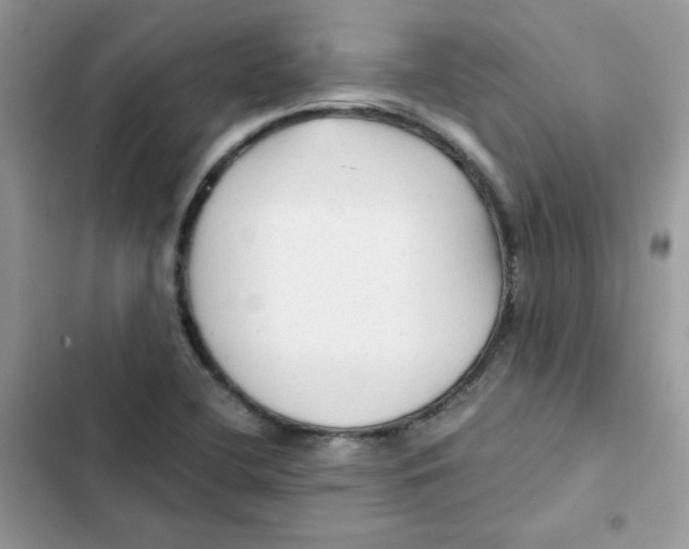 X0000101951412200808151242