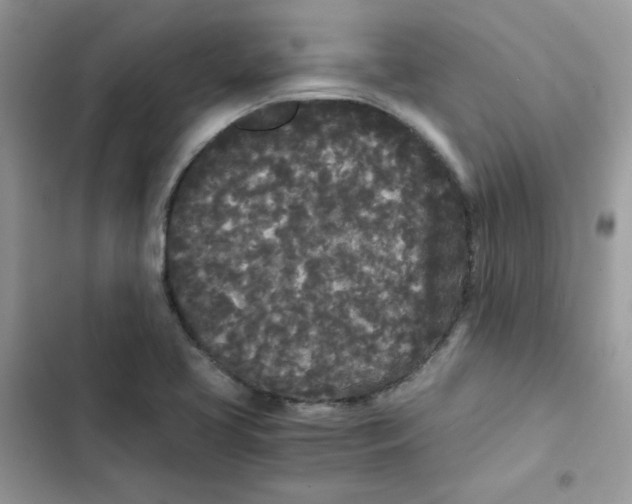 X0000101951413200808151242
