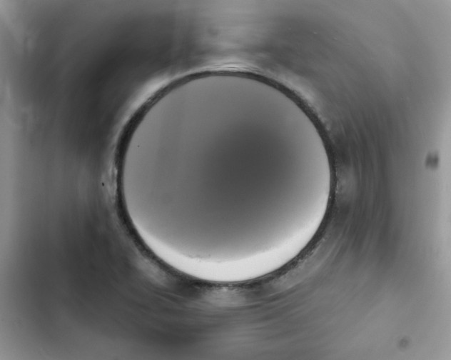 X0000101951414200808151242