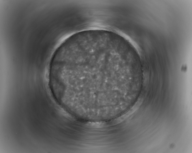 X0000101951415200808151242