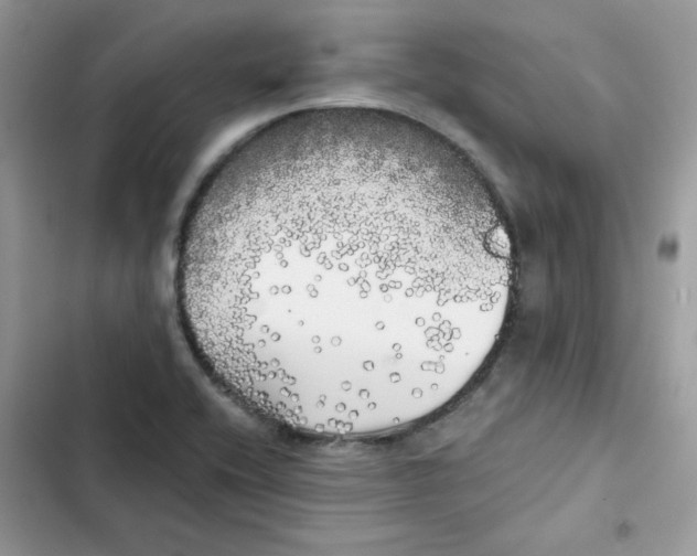 X0000101951416200808151242