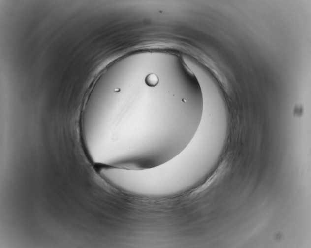 X0000101951417200808151242