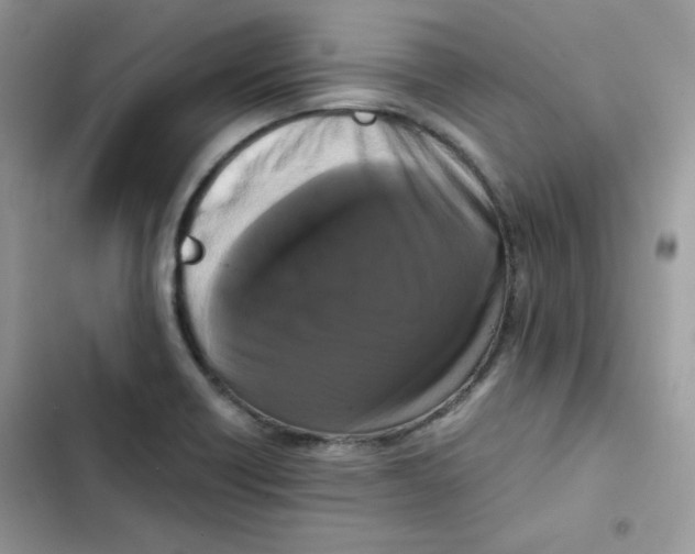 X0000101951418200808151243