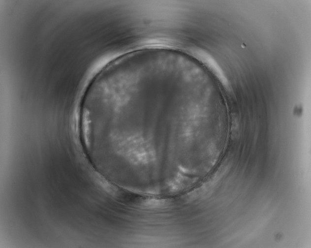 X0000101951419200808151243