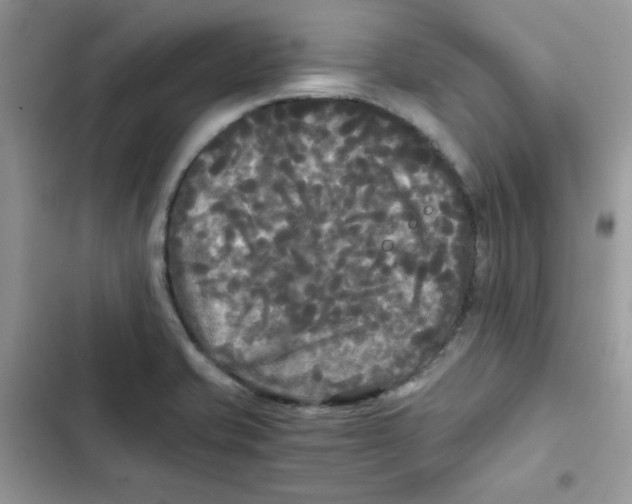 X0000101951421200808151243
