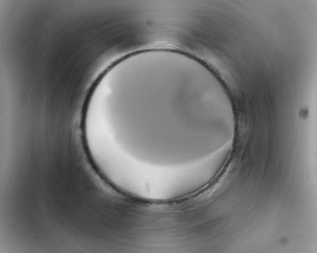 X0000101951422200808151243