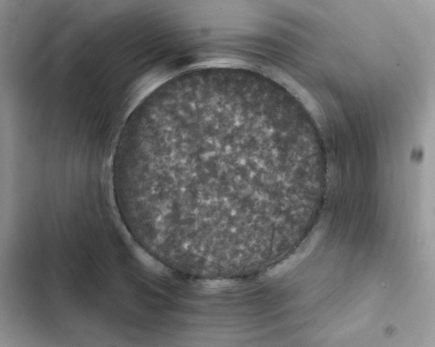 X0000101951425200808151243