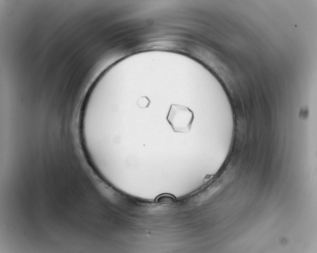 X0000101951426200808151243