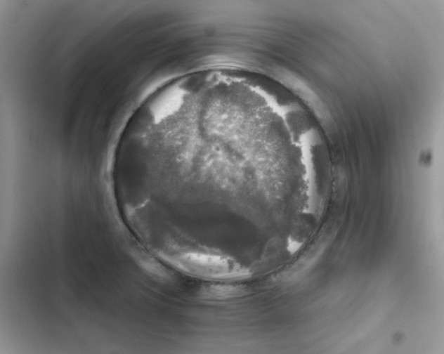 X0000101951427200808151243
