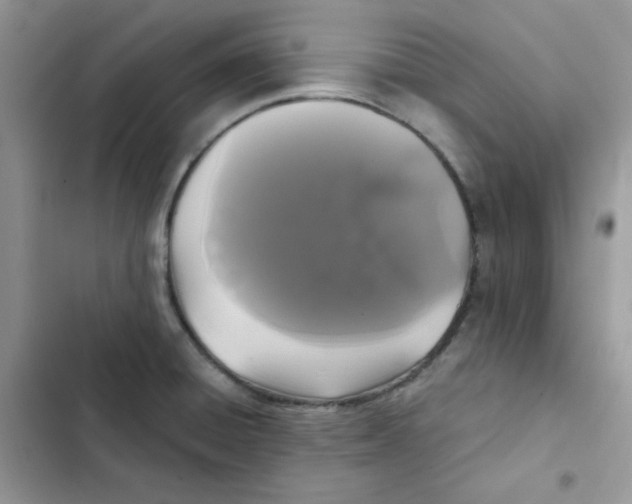 X0000101951428200808151243