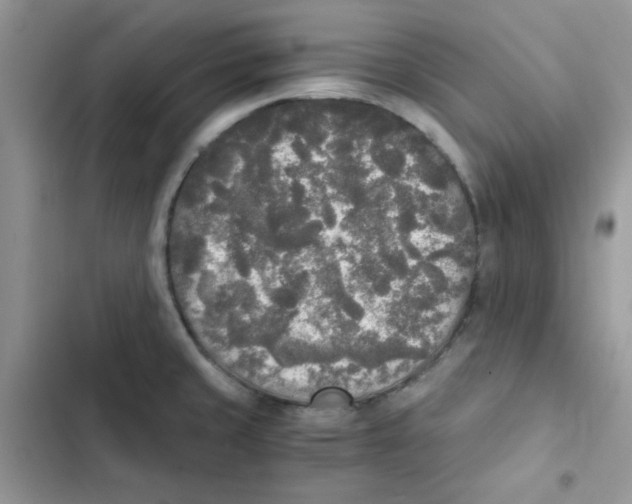 X0000101951429200808151243