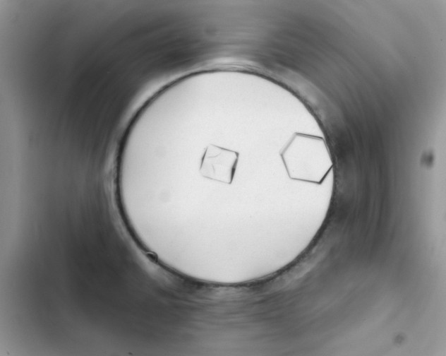 X0000101951430200808151243