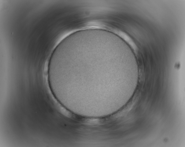 X0000101951431200808151243