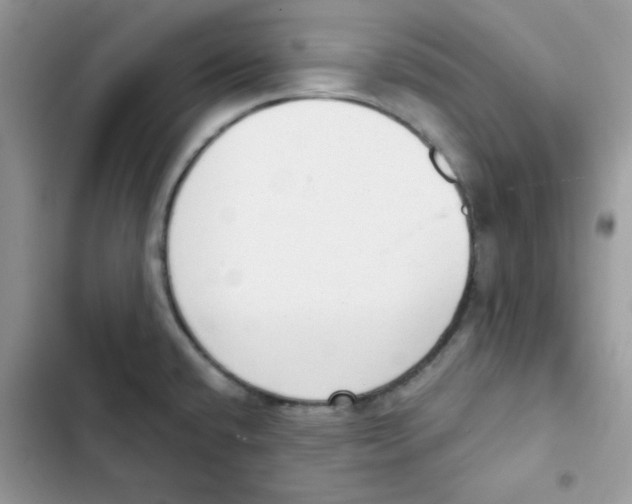 X0000101951432200808151243