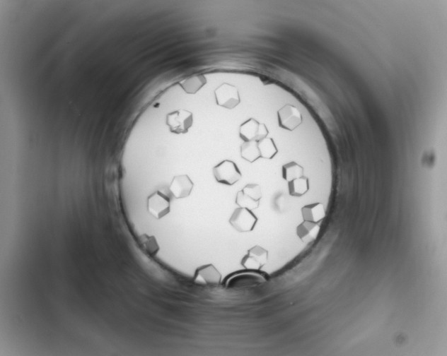 X0000101951433200808151243