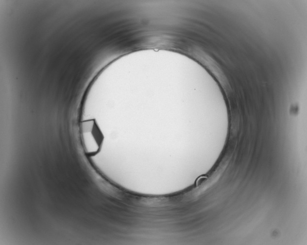 X0000101951434200808151243