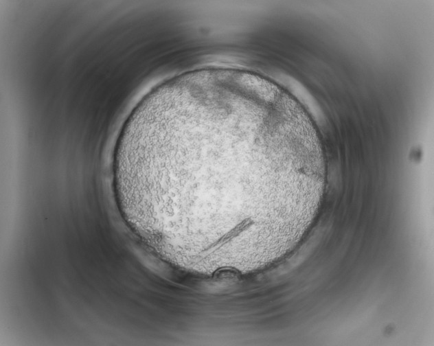 X0000101951435200808151243