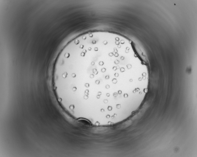 X0000101951437200808151243