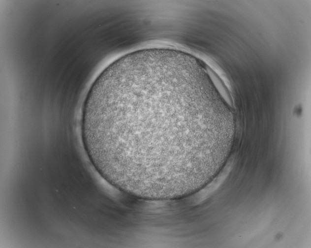 X0000101951438200808151243