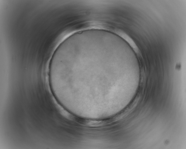 X0000101951439200808151243