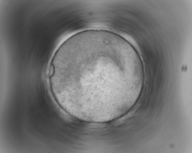 X0000101951440200808151243