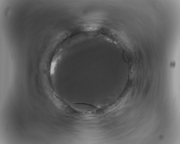 X0000101951441200808151242