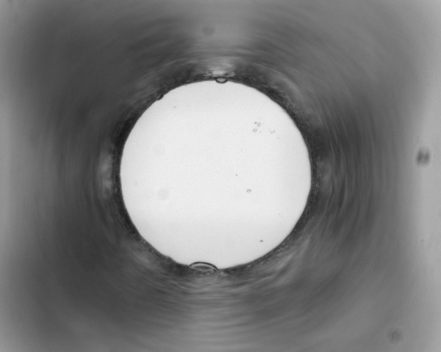 X0000101951442200808151242