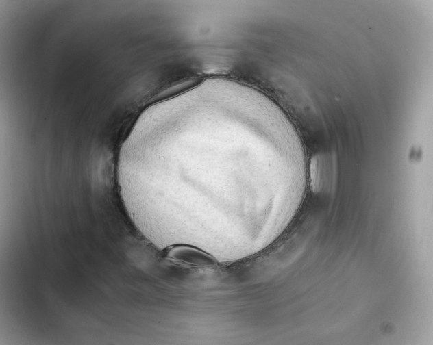 X0000101951443200808151242