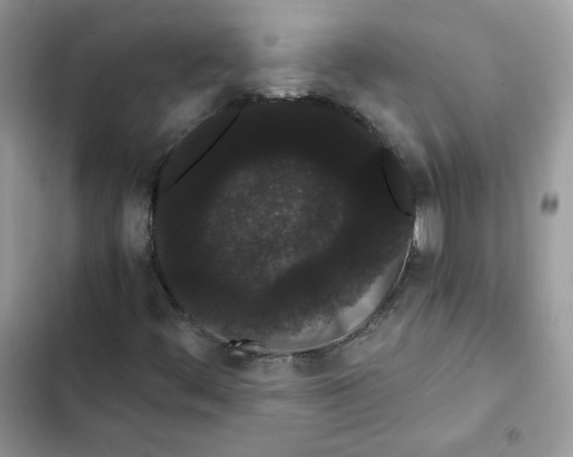 X0000101951444200808151242