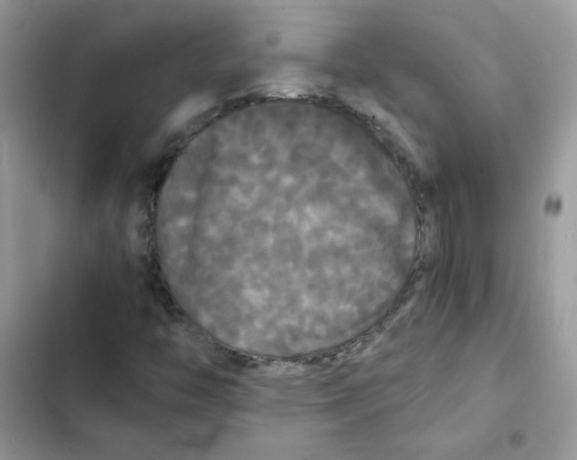 X0000101951446200808151242