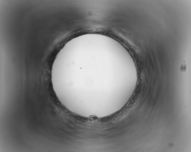 X0000101951447200808151242