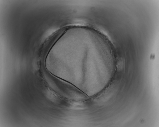 X0000101951448200808151242