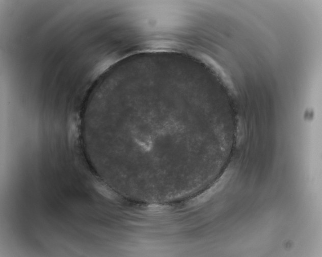 X0000101951449200808151242