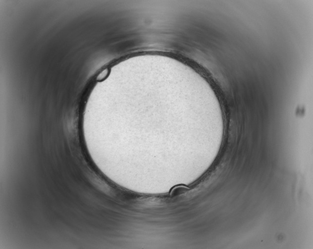 X0000101951450200808151242